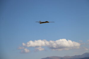 zm.IMG_6731