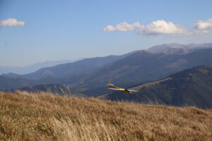 zm.IMG_6744