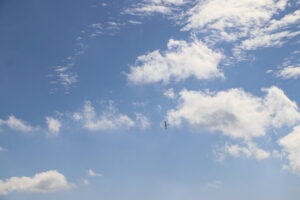 zm.IMG_6763