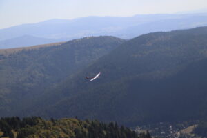 zm.IMG_6773