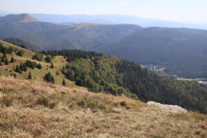 zm.IMG_6782