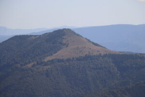 zm.IMG_6783