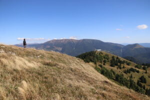 zm.IMG_6797
