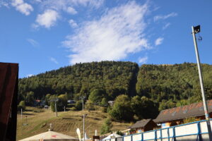 zm.IMG_6817