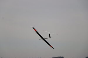 zm.IMG_6839