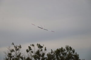 zm.IMG_6846
