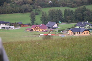 zm.IMG_6876