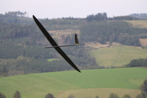 zm.IMG_6893