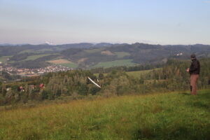 zm.IMG_6901