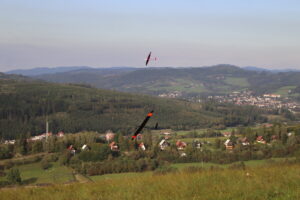 zm.IMG_6904