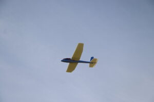 zm.IMG_6936