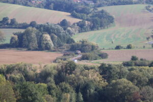 zm.IMG_6957