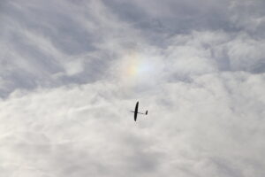zm.IMG_6983