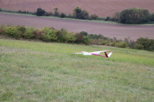 zm.IMG_7053