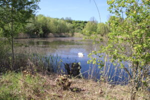zm.IMG_9278