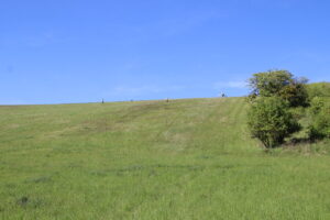 zm.IMG_9281