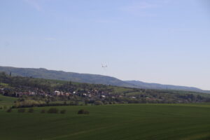 zm.IMG_9289