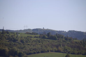 zm.IMG_9294