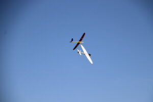 zm.IMG_9340
