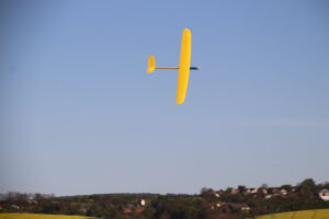zm.IMG_9351