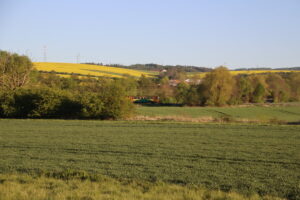 zm.IMG_9360