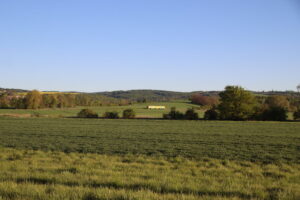 zm.IMG_9363