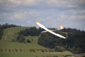 zm.IMG_9534