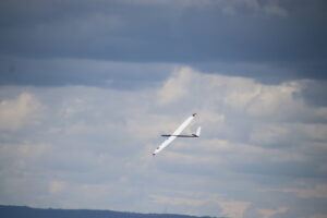 zm.IMG_9541