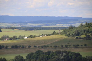 zm.IMG_9554