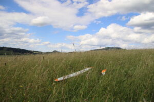 zm.IMG_9573