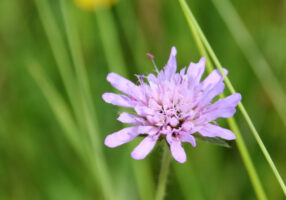 zm.IMG_9576