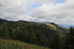 zm.IMG_0039