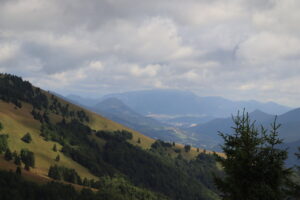 zm.IMG_0040