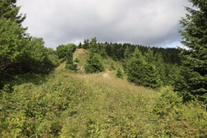 zm.IMG_0042