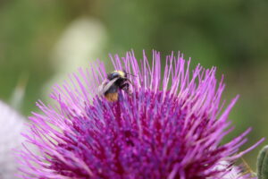 zm.IMG_0047