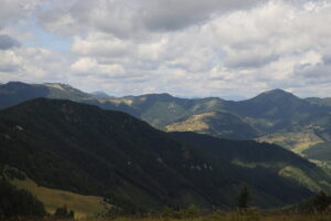 zm.IMG_0069