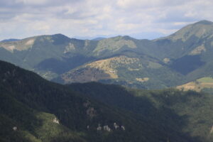 zm.IMG_0072