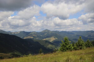 zm.IMG_0078