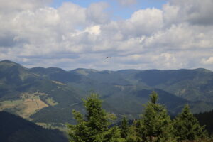 zm.IMG_0082