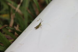 zm.IMG_0086