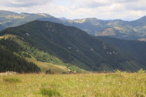 zm.IMG_0088