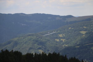 zm.IMG_0103