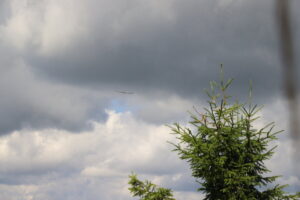 zm.IMG_0128