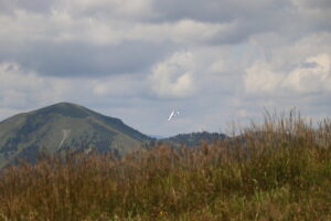 zm.IMG_0152