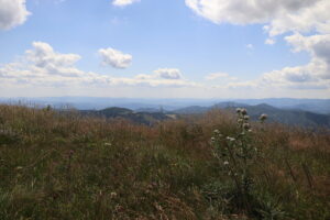 zm.IMG_0156