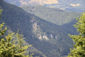zm.IMG_0157