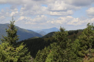 zm.IMG_0162