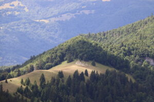 zm.IMG_0165