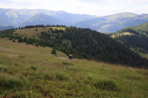 zm.IMG_0166