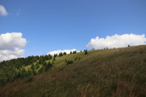 zm.IMG_0170